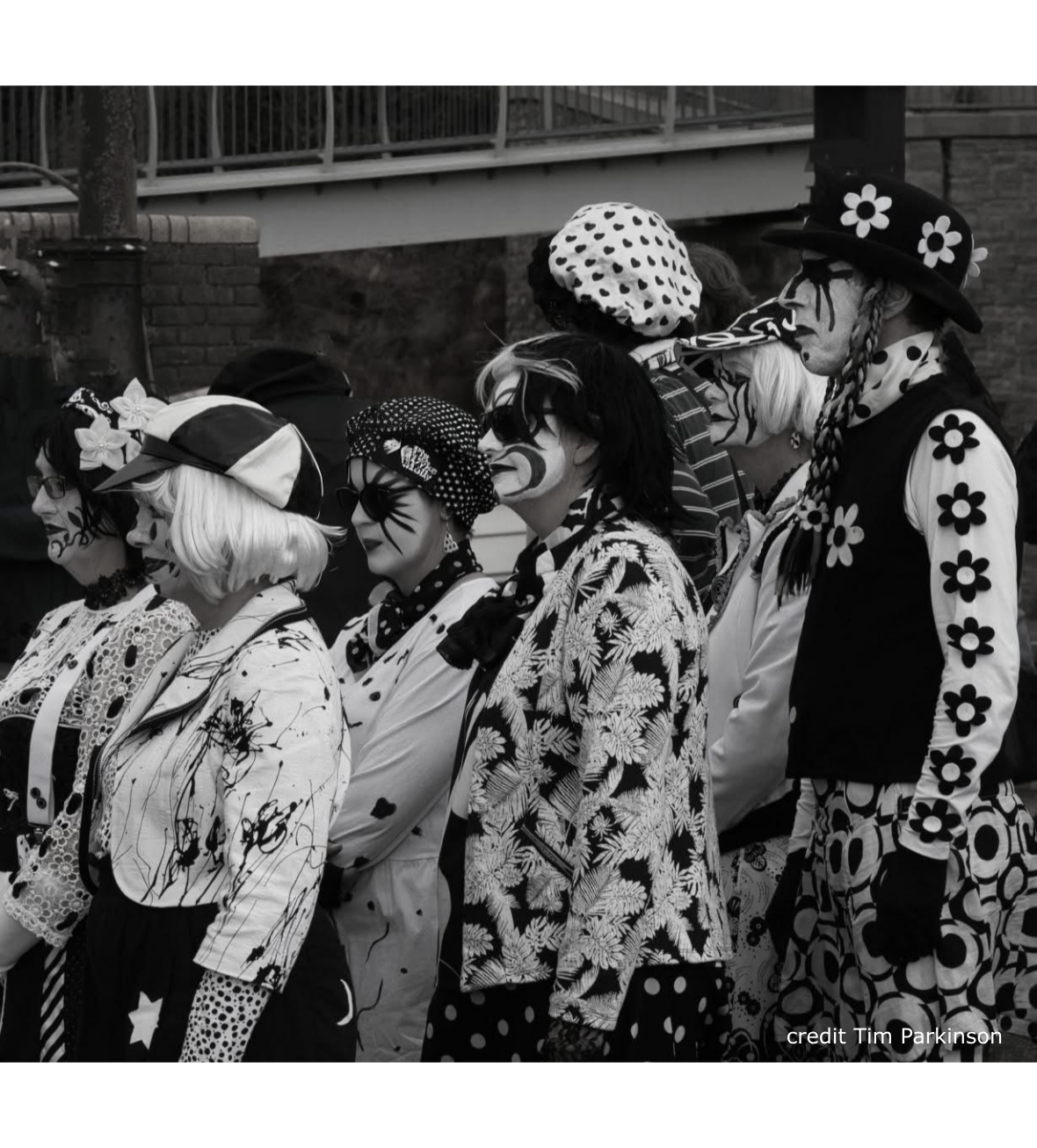 Pig Dyke dancers lining up for the next dance
