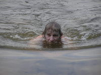 8. aquatic wildlife aquatic wildlife