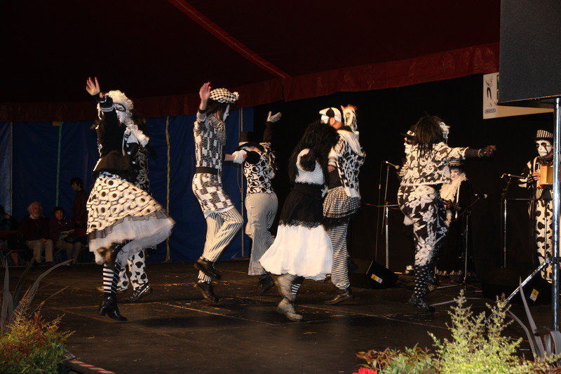 Chippenham Folk Festival 2011 Main Stage