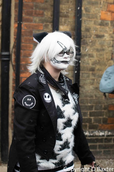 Photo by Dave Baxter