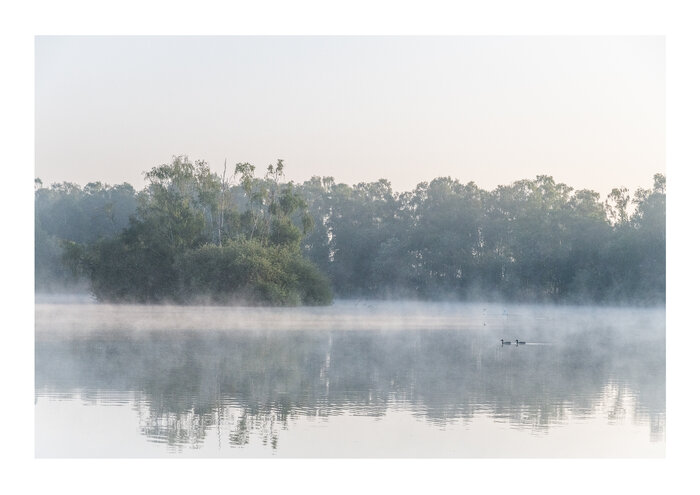 Mayday 2025: Burham Mere. There is nothing quite like a misty morning in the Fens. Photo: Cat Thompson